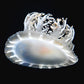 朝天水母 Upside-down Jellyfish